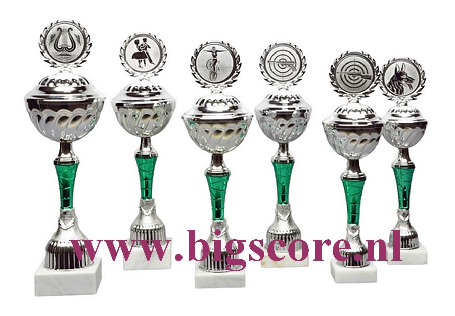 Z 622 Beker Groen-Zilver 6 Deli